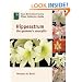 Hippeastrum: The Gardener's Amaryllis (Royal Horticultural Society/Timber Press Plant Collectors Guides Series)