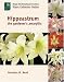 Book Hippeastrum: The Gardener's Amaryllis (Royal Horticultural Society/Timber Press Plant Collectors Guides Series)
