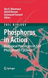 Produkt-Bild: Phosphorus in Action: Biological Processes in Soil Phosphorus Cycling (Soil Biology)