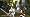 Oblivion: Shivering Isles (PC DVD)