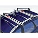 Skitr�ger Silver Ice Slider ausziehbar 6 Ski o 4 Boards ALUMINIUM