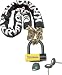Kryptonite New York Chain with EV Series 4 Disc Lock - 5 Ft. 6 In./--