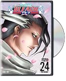 Bleach, Vol. 24