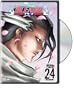 Bleach, Vol. 24