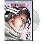 Bleach, Vol. 24