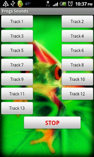 Image #2 of Frog - Amphibian Sounds