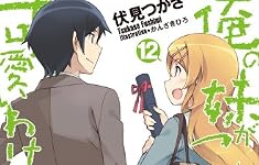 俺の妹がこんなに可愛いわけがない (12) (電撃文庫)