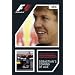 The Official Review of the 2010 F1A Formula One Championship