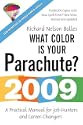 What Color Is Your Parachute?