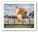 Mary's New Bike by Lowell Herrero 20"x16" Art Print Poster