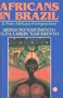 Africans in Brazil: A Pan-African Perspective