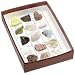 American Educational 2015 The U.S. Mounted Rocks and Minerals Intro Collection (Pack of 15)