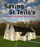Saving St Teilo's : bringing a medieval church to life
