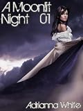 A Moonlit Night
