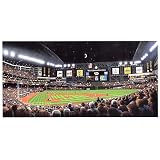 Arizona Diamondbacks Diamondbacks First Pitch Lithograph