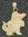 Florida Gators Solid 14K Gold Classic Albert 3/4 Pendant