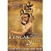 Pencak Silat - 5 Experten, 5 Stile Vol. 2