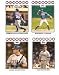 2008 Topps Texas Rangers Complete Team Set (24 - Baseball Cards from both Series 1 & 2) Includes Josh Hamilton, Michael Young, Kazuo Fukumori and more !