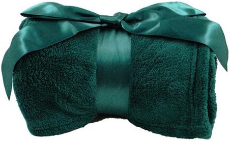 Warm and Soft 42" x 60" Plush Throw Blanket for Home and Travel - Green