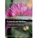 A Year in My Kitchen: A collection of recipes inspired by the seasons and based on a culinary toolbox of inventive flavorings