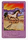 BELLA SARA: SPECIAL PROMO CARD MORONGO