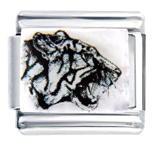 Buy Tiger Cat Animal Photo Italian Charms Bracelet Link by Italian Charms