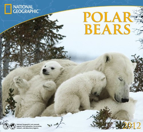 2012 polar bears national geographic wall calendar