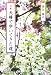 句集 夫婦で歩いてきた道