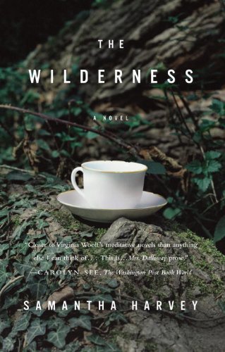 The Wilderness: A Novel