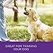 Wellness WellBars Natural Grain Free Crunchy Dog Treats, Lamb & Apples, 20-Ounce Box