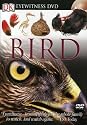 Eyewitness: Bird [DVD] [1999] [Region 1] [US Import] [NTSC]