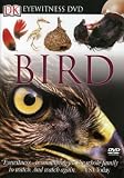 Eyewitness: Bird