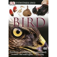 Eyewitness: Bird
