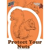 Protect Your Nuts Funny Squirrel Sticker / Decal
