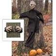 Peeping Tree Hugger