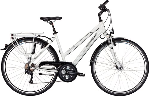 Pegasus Premio SL 27 27 Gang-Kette