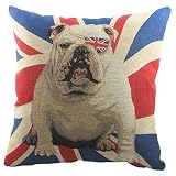 Evans Lichfield Winston Cushion, Multi, 45 x 45 Cm