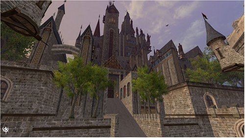 large image