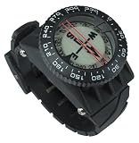 Compass