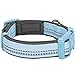 Blueberry Pet Collars For Dogs 3M Reflective Neoprene Padded Dog Collar in Pastel Colors, Matching Leash & Harness Available Separately