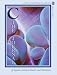 C... the Journal of Aquatic Science, Travel and Adventure: volume 1 number 2 by Anthony Calfo ISBN 0971637156