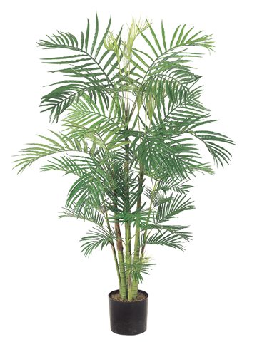 Pack of 2 Artificial Potted Tropical Areca Palm Trees 6′
