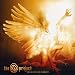 The D Project-Shimmering Lights