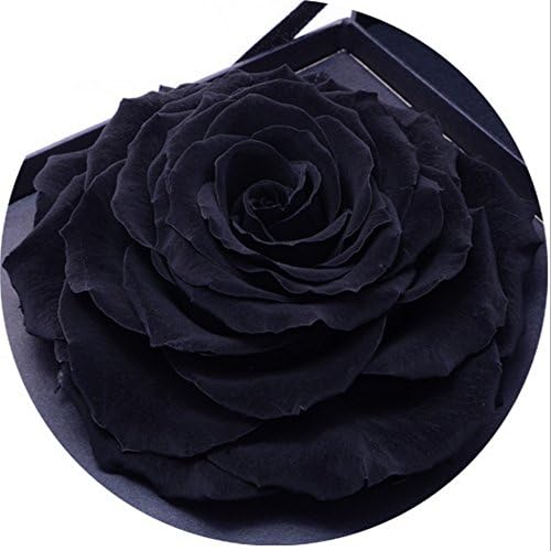 Never Withered Roses, Upscale Immortal Flowers, Fresh Roses, Flowers, Gift Boxes, Gift Ideas 5.1inch*5.1inch*3.9inch (black)