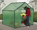 6 Ft. X 6 Ft. Greenhouse