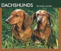 Dachshunds 2008 Boxed Calendar (German, French, Spanish and English Edition)