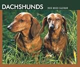 Dachshunds 2008 Boxed