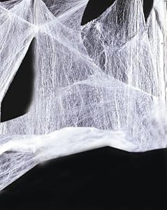 Hilka 25035800 - Spinnennetz mit Spinne