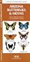 Arizona Butterflies and Moths: An Introduction to Familiar Species (State Nature Guides)