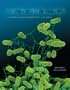 Microbiology Experiments to accompany Microbiology